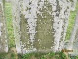 image of grave number 778351